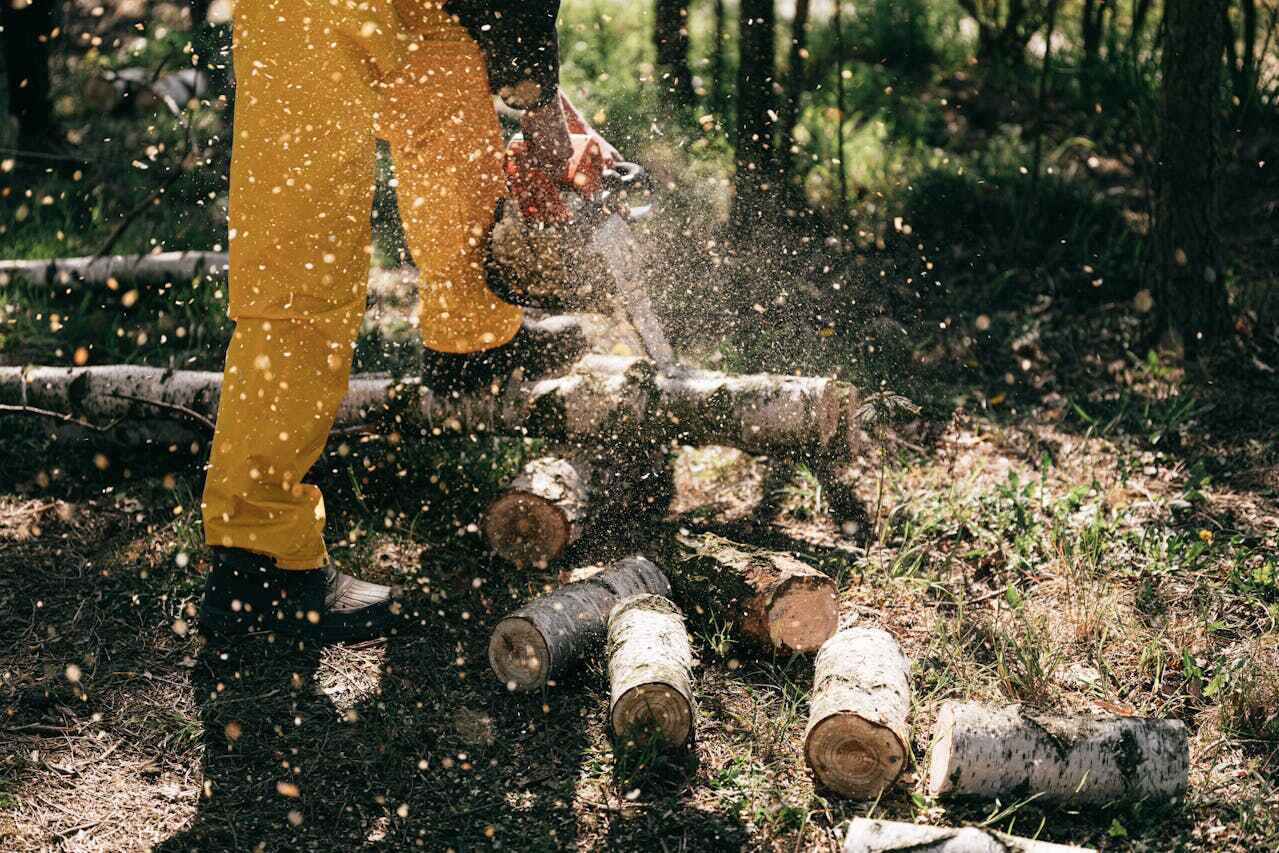 Tree Branch Trimming in Cecil Bishop, PA